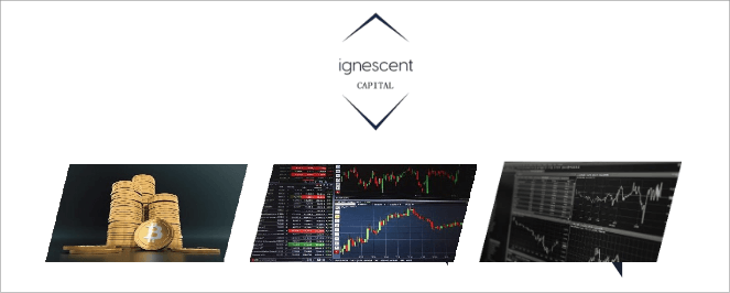 ignecentグループ