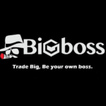 Bigboss証券会社とは？