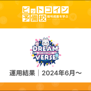 DreamVerse（ドリームバース）の運用結果｜2024年6月から実際に運用開始！