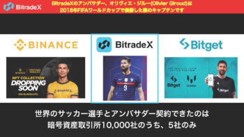 Bitradex info new (22)
