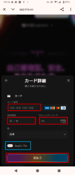 tria-step10-credit-card-details