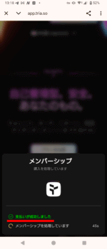 tria-step10-payment-success-processing